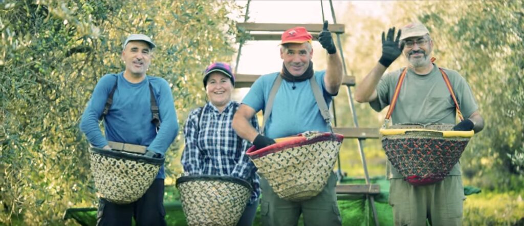 Olive Oil Extra Virgin - _Quality _ New version_Quality _ New version_