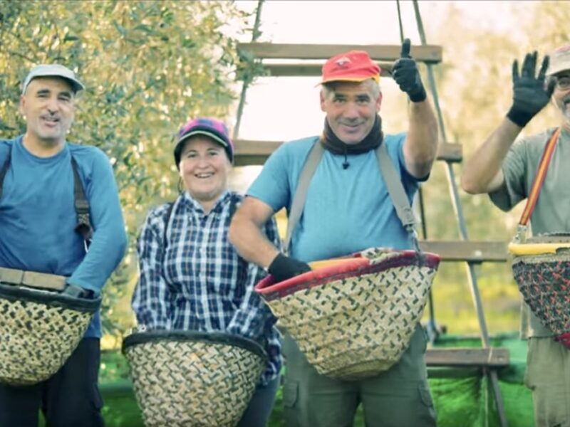 AJINOMOTO | Olive Oil Extra Virgin